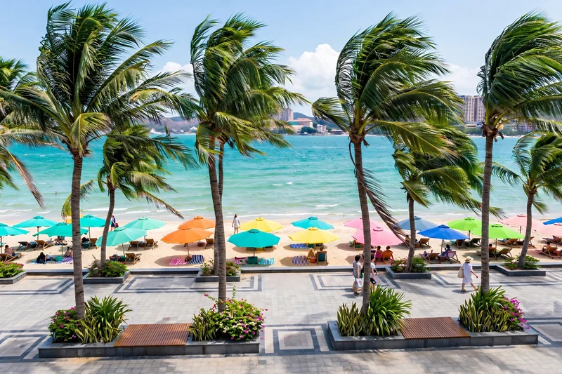 Back Beach in Vung Tau with umbrellas along the sand (2)