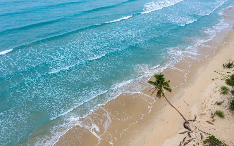 Casuarina trees leaning over pale sand at Ho Tram beach, with calm turquoise water and an empty shoreline stretching to the horizon (2)